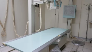 ارائه خدمات درمانی و پاراکلینیکی به بیش از 7 هزار زائر- بستری شدن 65 زائر در بیمارستان مکه 13