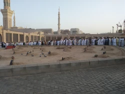 قبور ائمه بقیع در حلقه عاشقان  5