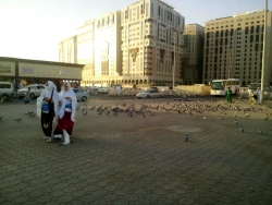 قبور ائمه بقیع در حلقه عاشقان  8