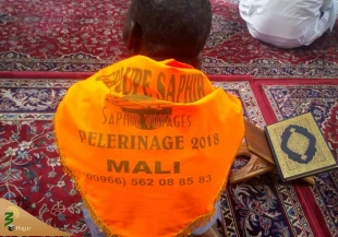 حضور انبوه مسلمانان رنگارنگ اما نامتحد در شهر پیامبر 19