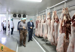 بازدید رئیس سازمان حج و زیارت از آشپزخانه های مرکزی در مدینه  6