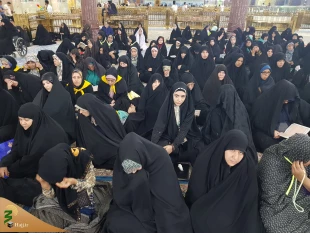 ریسمان محکم الهی همان ولایت اهل بیت(ع)است

خطیب بعثه مقام معظم رهبری در کربلا در جمع زائرین ایرانی در حرم امام حسین(ع)گفت:هرکس دوست دارد به ریسمان محکم الهی چنگ بزند باید به ولایت اهل بیت(ع) چنگ بزند. 2