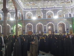 ریسمان محکم الهی همان ولایت اهل بیت(ع)است

خطیب بعثه مقام معظم رهبری در کربلا در جمع زائرین ایرانی در حرم امام حسین(ع)گفت:هرکس دوست دارد به ریسمان محکم الهی چنگ بزند باید به ولایت اهل بیت(ع) چنگ بزند. 2