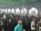 دعای کمیل زائران حسینی عارفانه و عاشقانه زمزمه شد + تصاویر

زائران ایرانی با حضور پرشور خود در خیمه گاه امام حسین(ع)، دعای پرفیض کمیل را عاشقانه و عارفانه زمزمه کردند. 2
