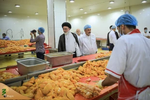 بازدید سرپرست حجاج ایرانی از بزرگترین آشپزخانه پخت غذای زائران ایرانی در مکه  8