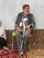 کتیبه نوح (ع) که روی آن نام «پنج تن آل‌عبا» است 

خطیب بعثه مقام معظم رهبری در کربلا در جمع زائرین ایرانی در حرم امام حسین(ع) گفت:دولت روس در 27 فوریه سال 1953 میلادی کمیته ای تشکیل داد که اعضای آن باستان شناسان و استادان شناخت زبانهای عهد عتیق بودند وب