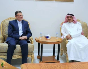 گفتگوی رئیس سازمان حج وزیارت با وزیر حج عربستان 2