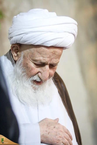 کز دیو و دد ملولم و انسانم آرزوست 2