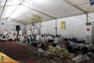 درک اسرار عرفات در شب نهم ذیحجه ؛ زائران بیت الله الحرام شب عرفه را با مناجات و دعا به صبح رساندند 15