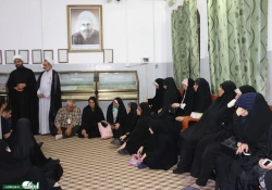 حضور سه کاروان دانشجویی در برنامه نجف شناسی 8