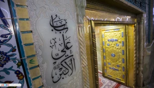دربهای ورودى به حرم مطهر حسینی-گزارش تصویری

 7