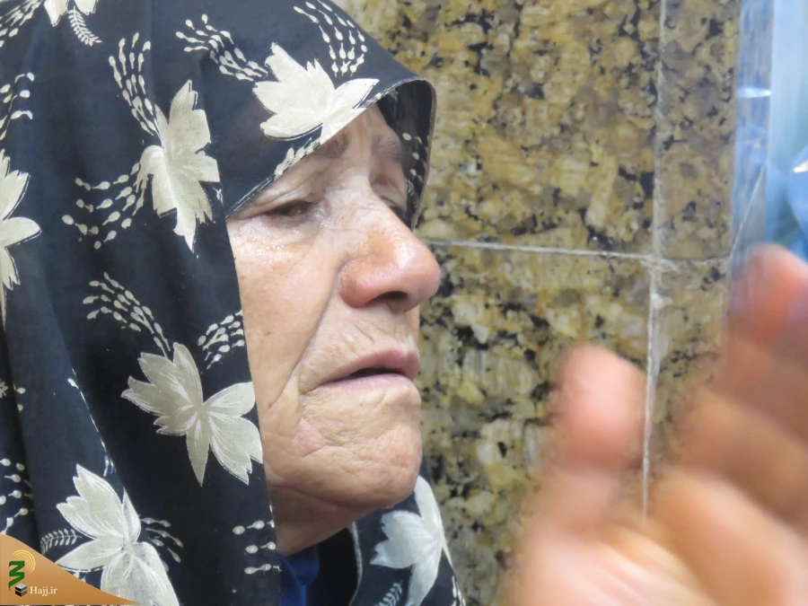 برگزاری دعای عرفه در سرداب علقمی -گزارش تصویری2 10