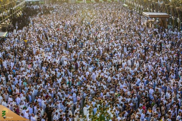 اقامه نماز عید قربان با حضور میلیونی زائرین در بین الحرمین کربلا 11