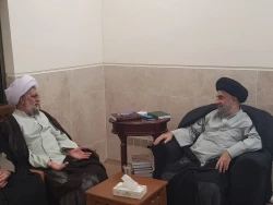 دیدار نماینده بعثه مقام معظم رهبری با آیت الله مدرسی

در دیدار حجت الاسلام و المسلمین نجفی مسئول دفتر نمایندگی بعثه مقام معظم رهبری در عراق با آیت الله سید محمدتقی مدرسی ، پیرامون مسائل فرهنگی گفتگو شد ولزوم  اتحاد وانسجام ملت ایران وعراق بعنوان یک رسال