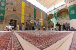 حرم امیر المؤمنین(ع) با فرش های فاخر کاشانی مفروش شد 3