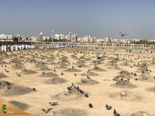 حضور پرشور حجاج در قبرستان بقیع  6
