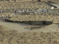 حضور پرشور حجاج در قبرستان بقیع  7