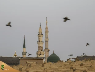 حضور پرشور حجاج در قبرستان بقیع  12
