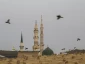 حضور پرشور حجاج در قبرستان بقیع  12