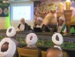 خداوند به زائرین سیدالشهدا نزد فرشته گان مباهات می کنند 3