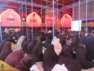نوای یا رب یارب زائرین عتبات در خیمه گاه حسینی

به همت دفتر نمایندگی بعثه مقام معظم رهبری در کربلا، زائران ایرانی در شب چهارم ماه محرم دعای کمیل را در خیمه گاه حسینی زمزمه کردند. 2