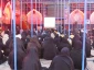 انتظار، فاصله‌ای میان دو جمعه ولادت و ظهوراست

اگر سختی زمستان غیبت نبود، شوق آمدن بهار عدالت معنا نداشت. خانه‌تکانی، رسم قدیمی همه منتظران بهار است.
 بهترین هدیه‌ای که می‌توان برای گلدان شکسته قلب منتظران خرید، یک شاخه گل نرگس است. جمعه‌ها کافی نیست، 