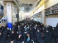 سرداب علقمی میزبان عزاداران ایرانی حسینی 8