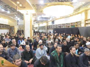 سرداب علقمی میزبان عزاداران ایرانی حسینی 4