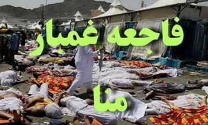 تاکید سازمان حج و زیارت بر پیگیری حقوق شهدای منا