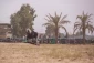 برای دومین سال حوادث عاشورا در کربلا به نمایش در آمد +تصاویر  19