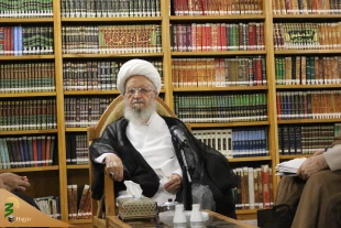 آیت‌الله مکارم شیرازی:

باید به مردم عراق به عنوان میزبان اربعین احترام کرد 2