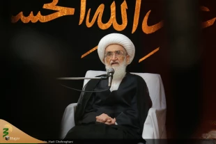 آیت الله نوری همدانی:

اربعین مانور بزرگ در برابر عرصه باطل، قوی تر و با شکوه تر و با وحدت بیشتر برگزار شود 3