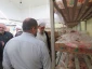 جت الاسلام نجفی روحانی از آشپزخانه مرکزی ابوتراب بازدید کرد 3