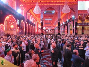 سخنران حرم امام حسین(ع): دین شناسی و غیرت دینی به حبیب بن مظاهر مقام داد 2