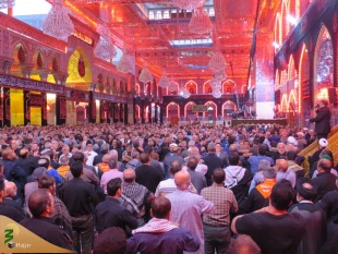 سخنران حرم امام حسین(ع): دین شناسی و غیرت دینی به حبیب بن مظاهر مقام داد 2