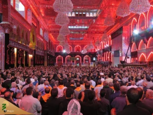 سخنران حرم امام حسین(ع): دین شناسی و غیرت دینی به حبیب بن مظاهر مقام داد 2
