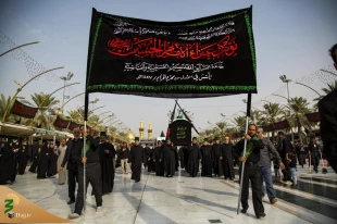 کربلای امام حسین(ع) در عزای غریب مدینه امام حسن مجتبی (ع) غرق در عزا شد+ تصاویر  3
