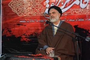 عضو خبرگان رهبری:

 روح سفر اربعین، گریه است