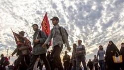 طرح نذر نهال در مسیر راهپیمایی اربعین به مرحله اجرا درمی‌آید 4
