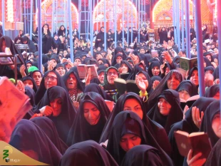 گزارش تصویری برگزاری دعای پرفیض کمیل در خیمه گاه حسینی:

استقبال کم نظیر زوار اربعین حسینی از مراسمات بعثه مقام معظم رهبری در کربلا
 2