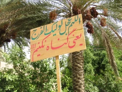 حاشیه نگاری از بازدید مواکب  + گزارش تصویری

نهایت خواسته خادمان زوار اربعین، دیدار و ابلاغ سلام به مقام معظم رهبری 6