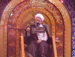 سخنران حرم مطهر امام حسین (ع):

زینب کبری (س) مظهر شجاعت، عفاف، صبر و عبادت است.  4