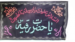 همت بانوان مشهدی در خدمت به زائران حضرت رضا (ع)/ تصاویر 5
