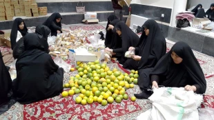همت بانوان مشهدی در خدمت به زائران حضرت رضا (ع)/ تصاویر 17