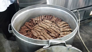 ملک‌آباد، ایستگاه اول خدمت‌رسانی به زائران حضرت رضا (ع)/تصاویر 2