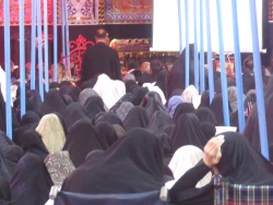 دست دعا و چشم امید زائران حسینی در آخرین دعای کمیل ماه صفر

گزارش تصویری: دعای کمیل در خیمه گاه حسینی 5