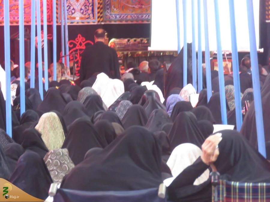 دست دعا و چشم امید زائران حسینی در آخرین دعای کمیل ماه صفر

گزارش تصویری: دعای کمیل در خیمه گاه حسینی 5