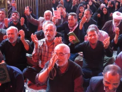 دست دعا و چشم امید زائران حسینی در آخرین دعای کمیل ماه صفر

گزارش تصویری: دعای کمیل در خیمه گاه حسینی 6
