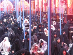دست دعا و چشم امید زائران حسینی در آخرین دعای کمیل ماه صفر

گزارش تصویری: دعای کمیل در خیمه گاه حسینی 7