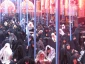 دست دعا و چشم امید زائران حسینی در آخرین دعای کمیل ماه صفر

گزارش تصویری: دعای کمیل در خیمه گاه حسینی 7
